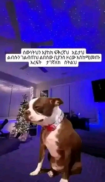 Funny