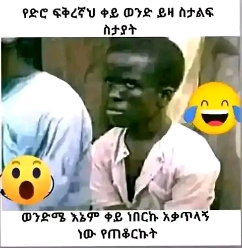 Funnh
