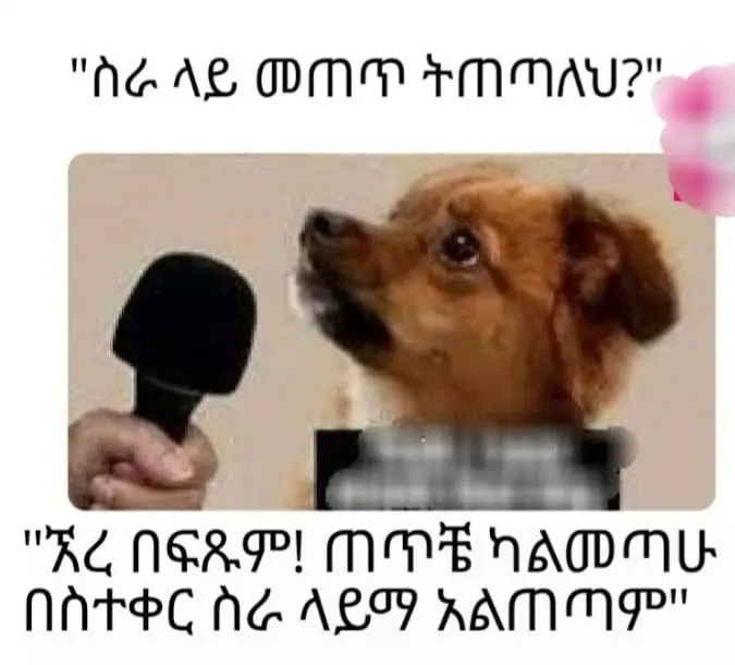 Funny