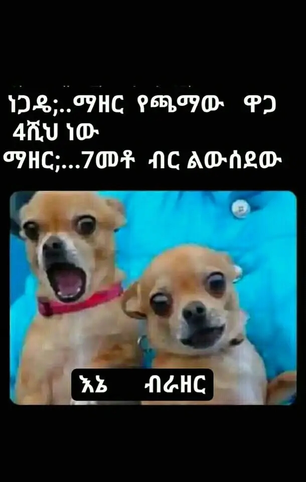 Funny