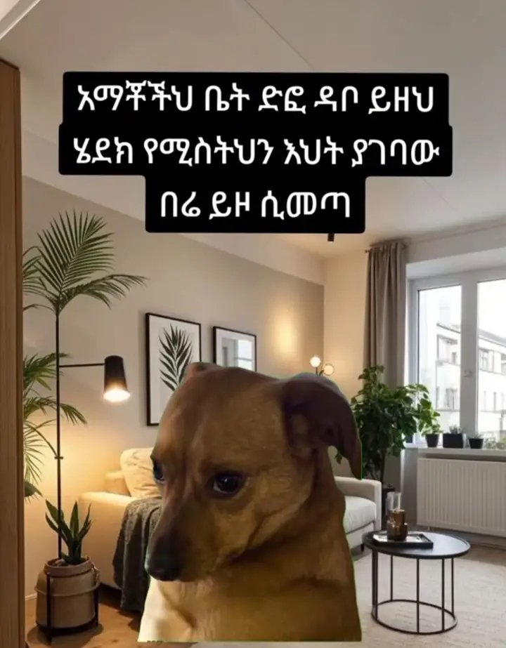 Funny