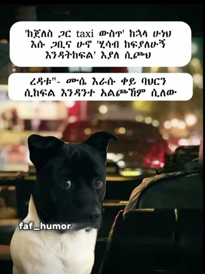 Funny