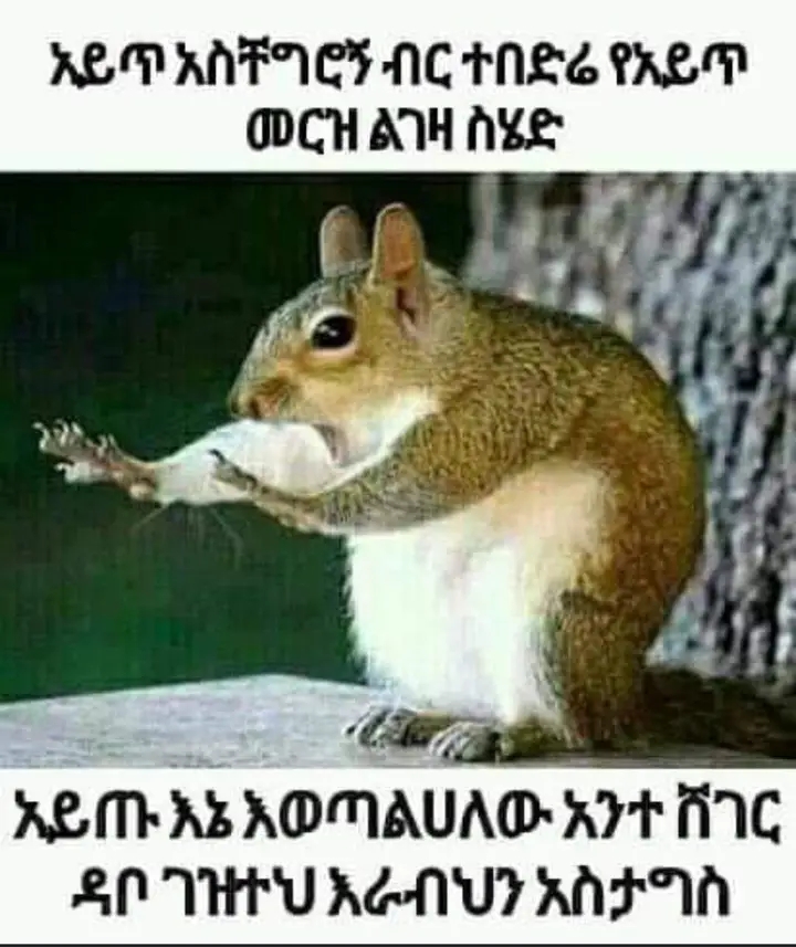 Funny