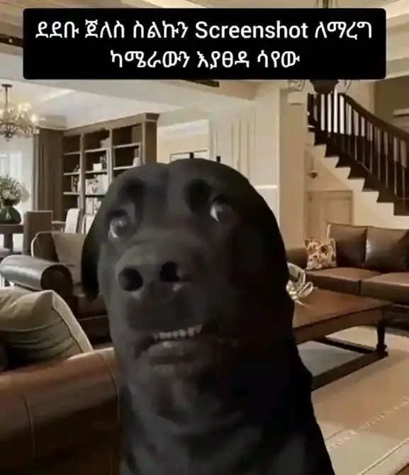 funny