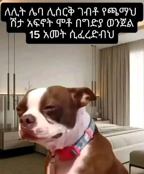 Funny