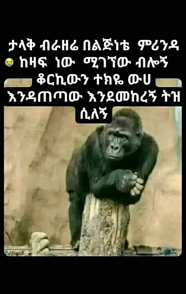 Funny