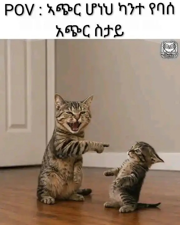 Funny