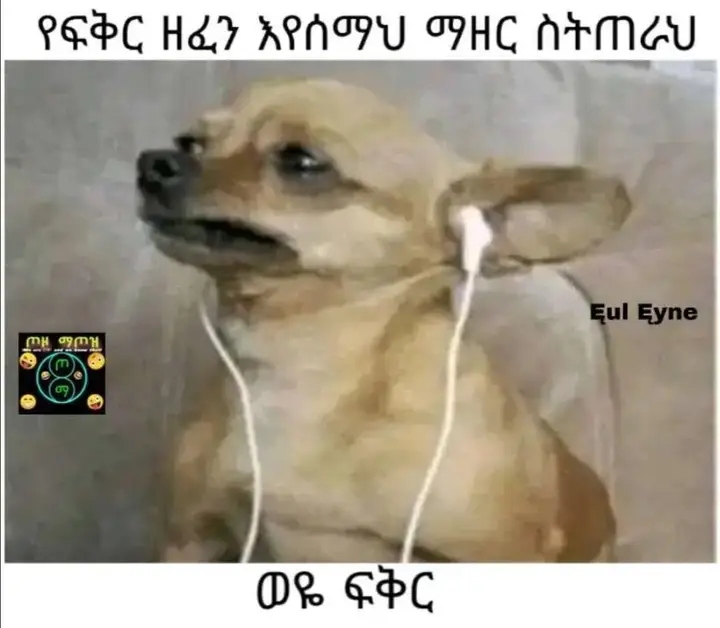 Funny
