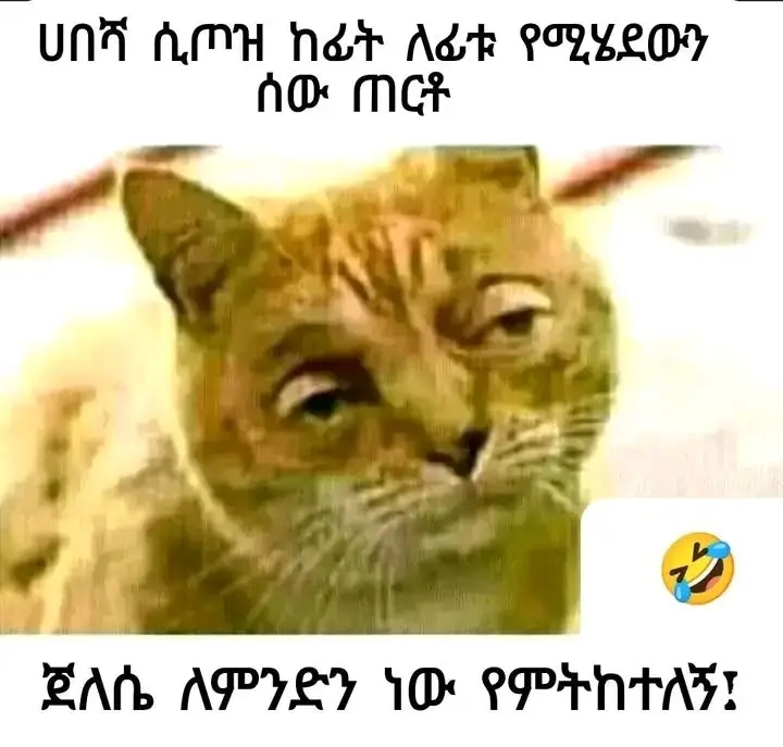 Funny