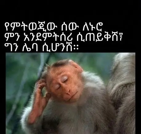 Funny