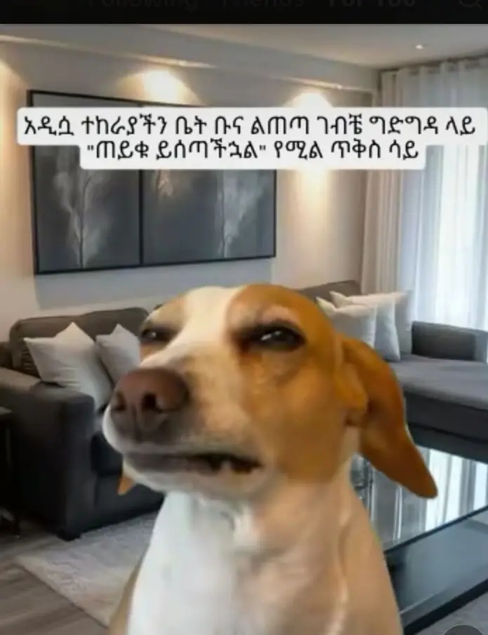 Funny