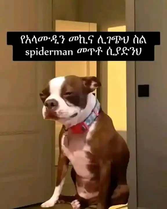 Funny