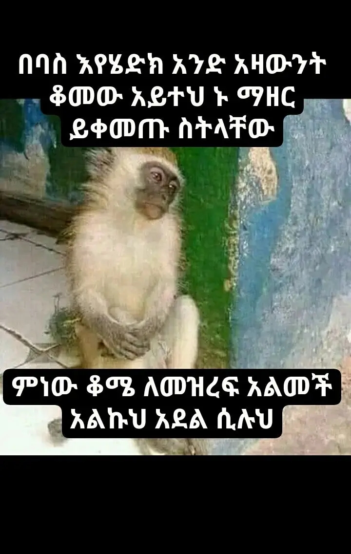 funny