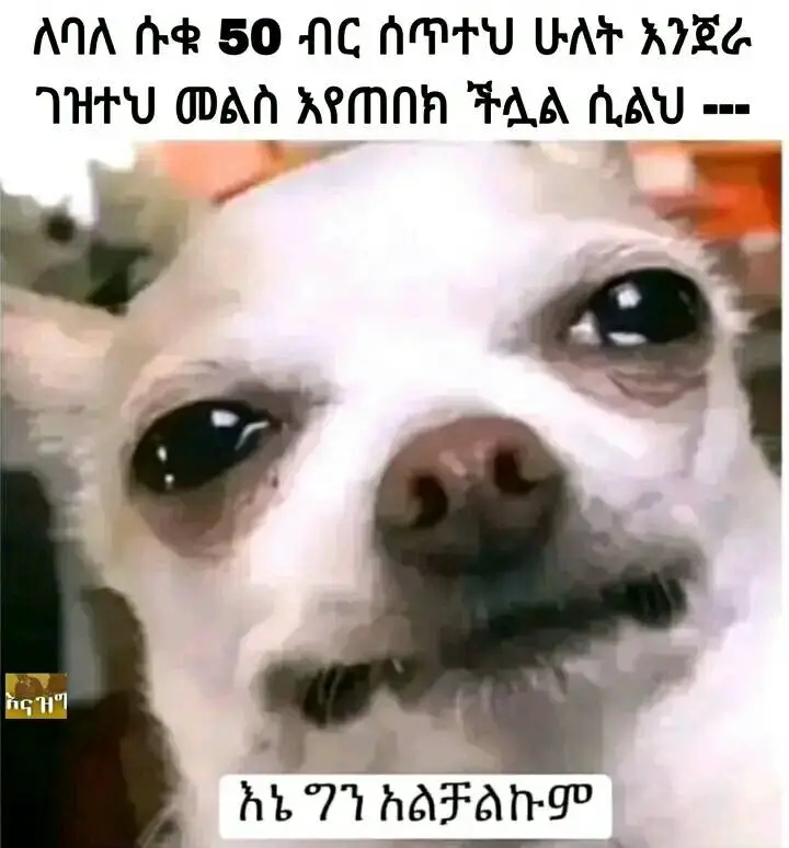 Funny