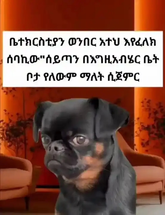 Funny