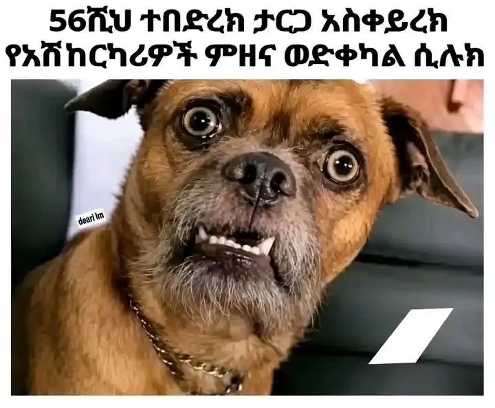 funny funny