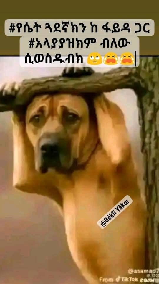 Funny