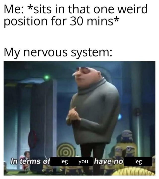 Me: *sits in that: one weird. position for 30 mins* My nervous system: Gon eal ; BEES ‘| weet an St 6 le