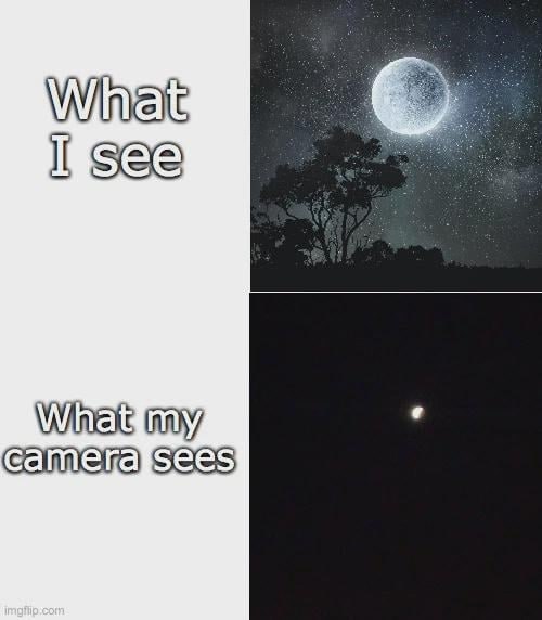 a moon and a tree with the words what is the moon? what is the moon? what is the