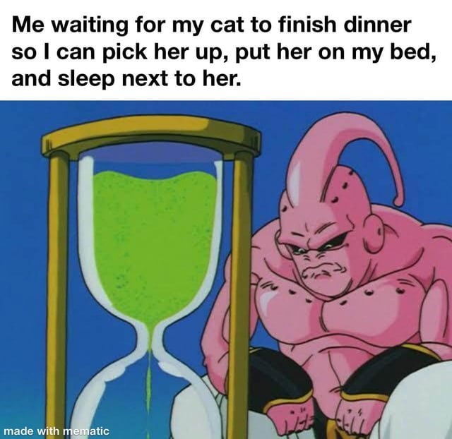 Me waiting for‘my ‘cat to finish dinner so.] can pick,her (up; put her‘on my. bed;: and sleep:next to her.
