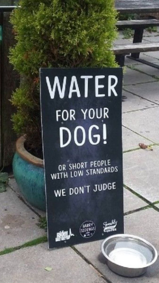Sign That Says Water For Dogs a sign that says water for dogs