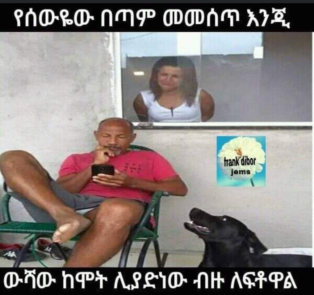 a man sitting in a chair with a dog