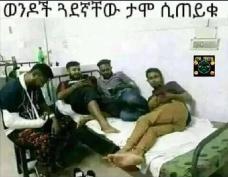 ኛቸ ዶች ጓደ ወጩ