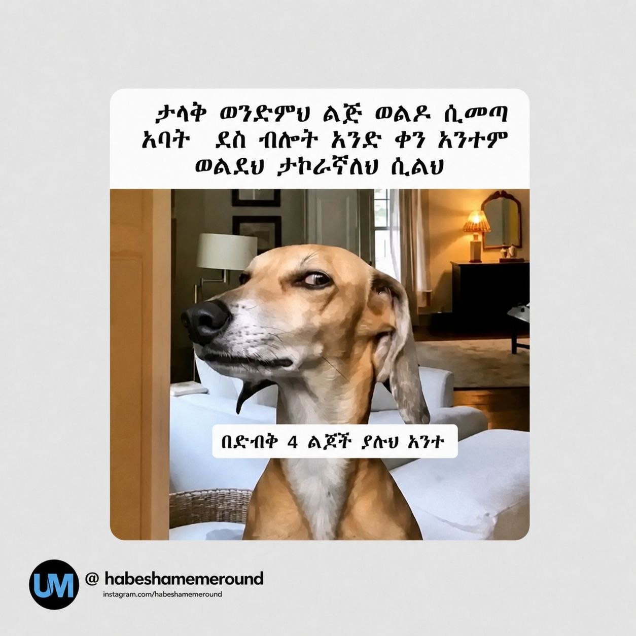 a dog with a sign that says it is a dog