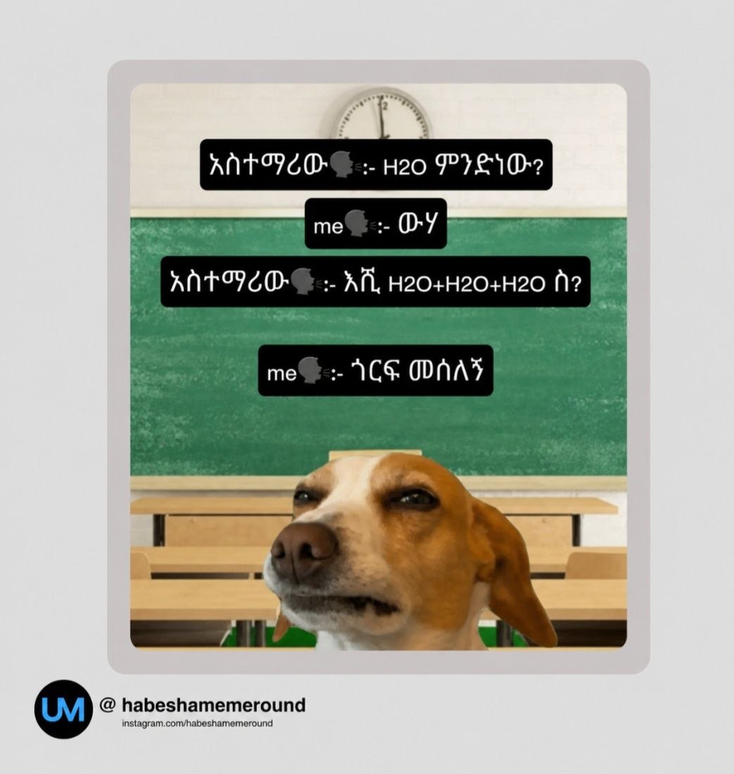 a dog with a blackboard in the background