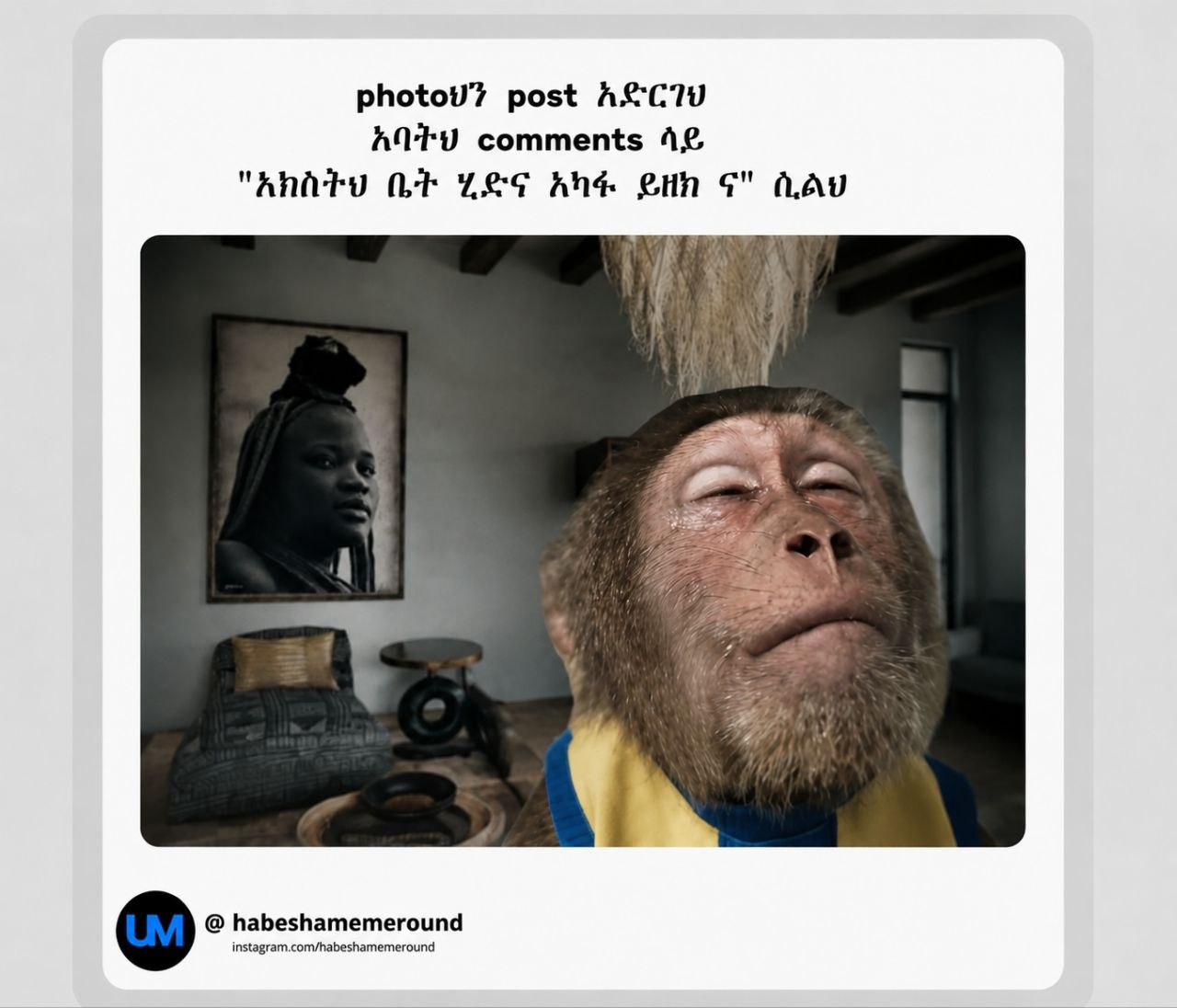 a monkey with a mohawk on its head