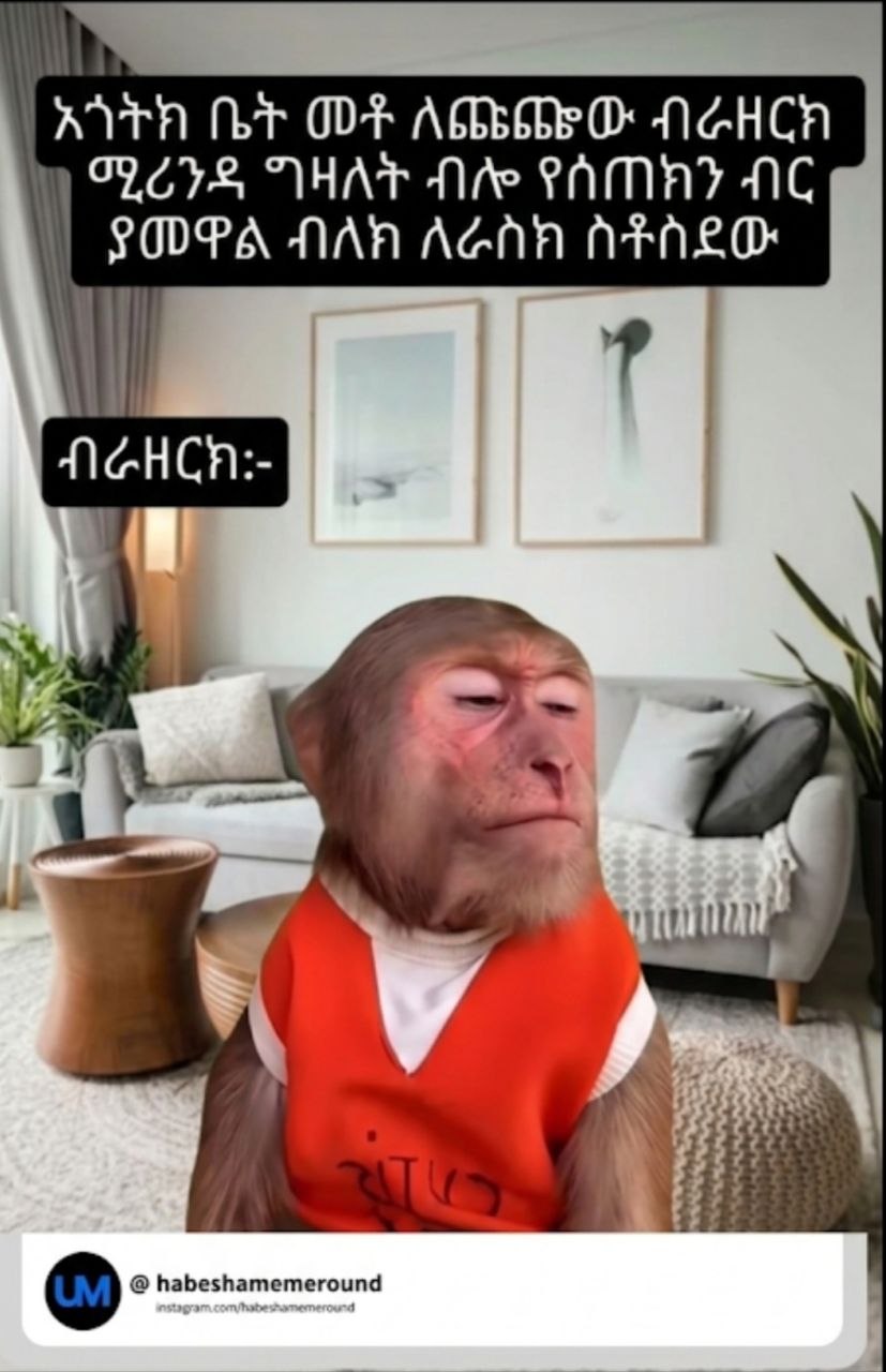 መ ከ3ከፀፊከኋርነዐርበርየዐሀበቋ @ habeshamemeround