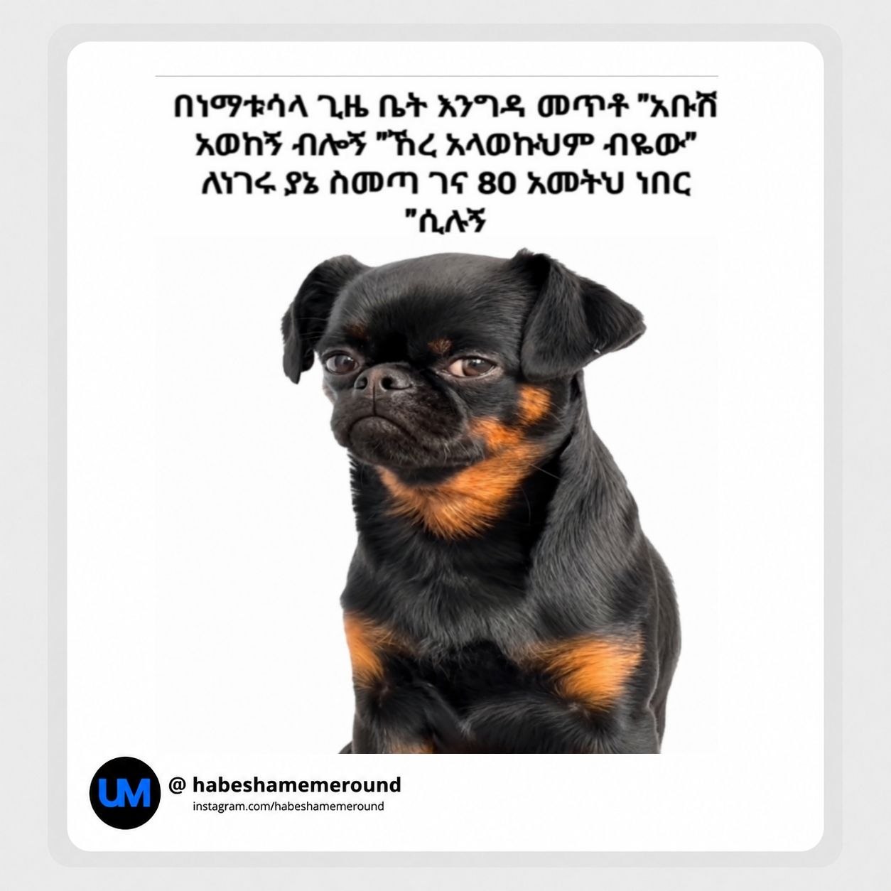 በነማቱሳላ ጊዜ ቤት እንግዳ መጥቶ "አቡሸ አወከኝ ብሎኝ "ኽረ አላወኩህም ብዬው" ለነገሩያኔ ስመጣ ገና 8ዐ አመትህ ነበር "ሲሌኝ ኸ-6 ከ5665ከ8የበፀበፎ9ሀከ6 ዘ በይየፀፎቋበርዕበገ/ከኃፎሬከኃከገፀበገፎርዕህበበ | NO7RAA VL RY CONE "ANT AON NAF. "HE AOKUIPP. NEO” ANS £5.A0DM 14:80 AGD+TU ING "AAD }\;@ habeshamemeround , instagram,.com/habeshamemeround: 