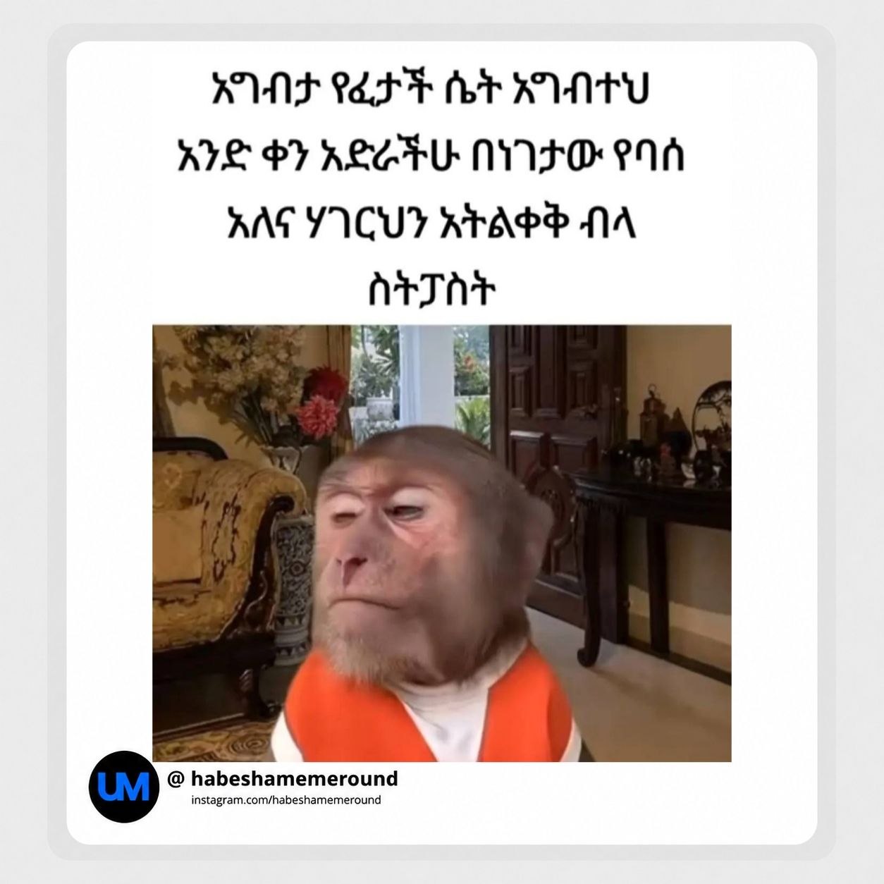 አግብታ የፈታች ሴት አግብተህ አንድቀን አግብታ የፈታች ሴት አግብተህ አንድቀን አደራችሁ በነገታው የባሰ አለና ሃገርህን አትልቀቅ ብላ WUT RT Mt WYNTU AIS Py REA NOP AAG YICUY REAPS A