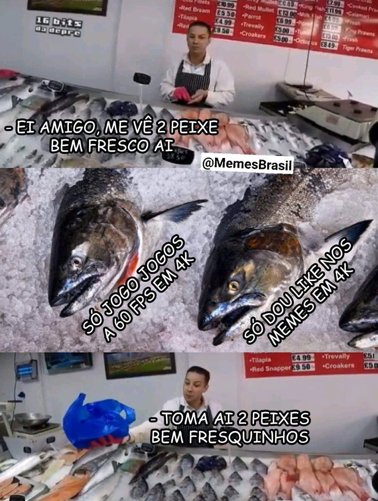 a bunch of fish on display in a store